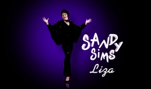 sosie-liza-minnelli-spectacle-show-hommage-sandy-sims-